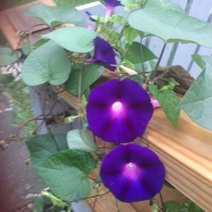 Meet your Posher, Sherry